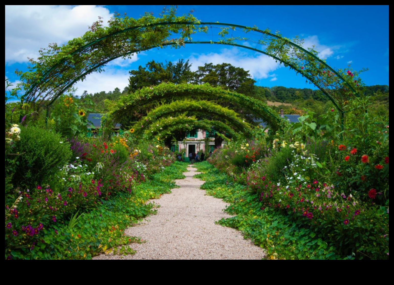 Blossom Palette: Δημιουργήστε το υπαίθριο καταφύγιό σας με έντεχνες πινελιές