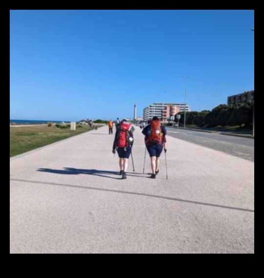 Pavement Pioneers: Crafting Your Walking Tour Adventure