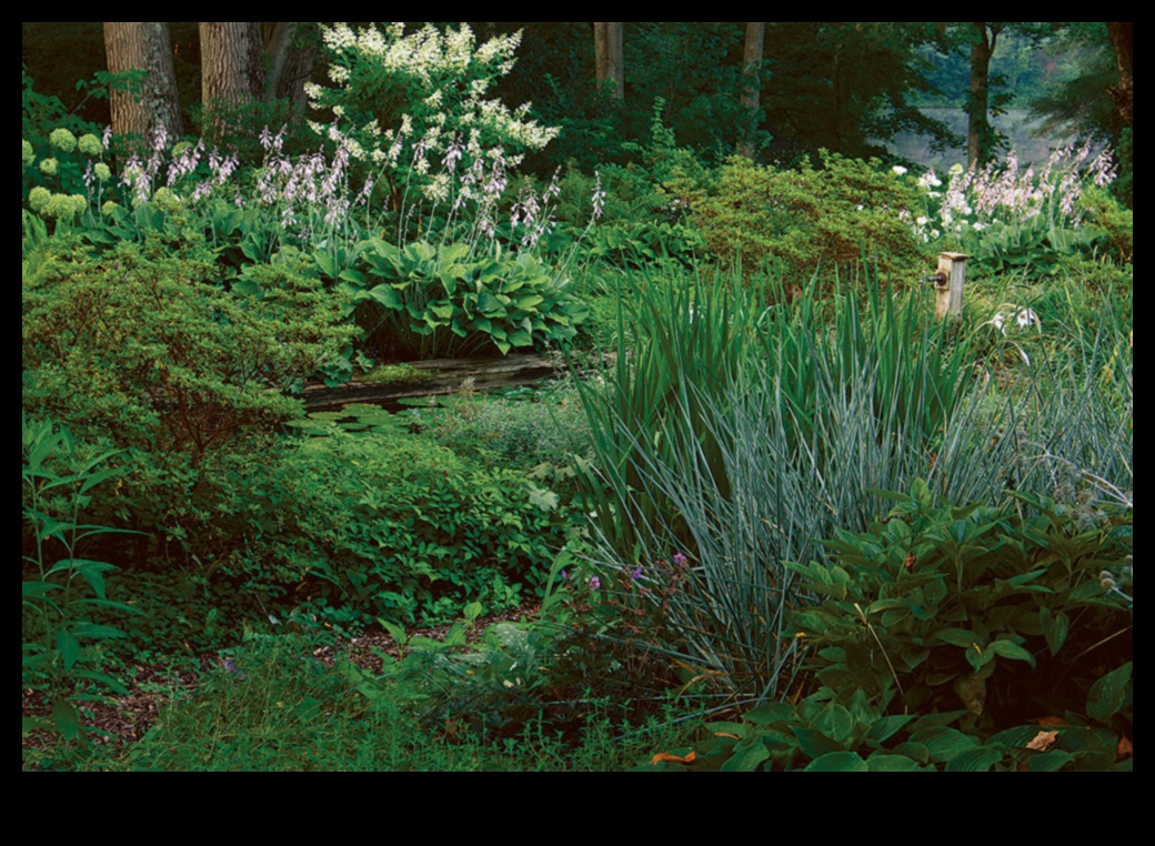 Nature's Palette Πώς να χρησιμοποιήσετε το χρώμα για να βελτιώσετε τον κήπο σας 4 Nature's Palette: Ενσωματώνει χρώμα με διακόσμηση κήπου