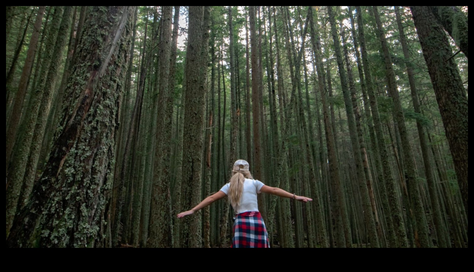 Epic Earthscapes: A Showcase of Nature's Grandeur