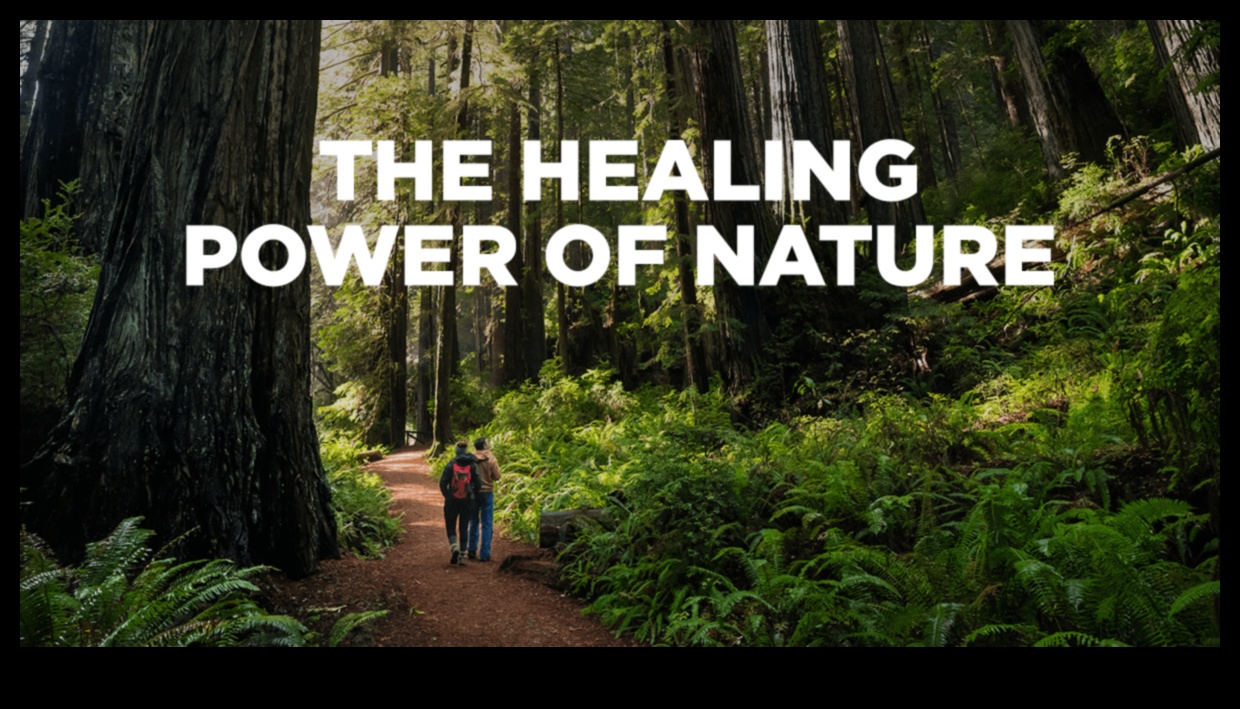 Epic Earthscapes: A Showcase of Nature's Grandeur