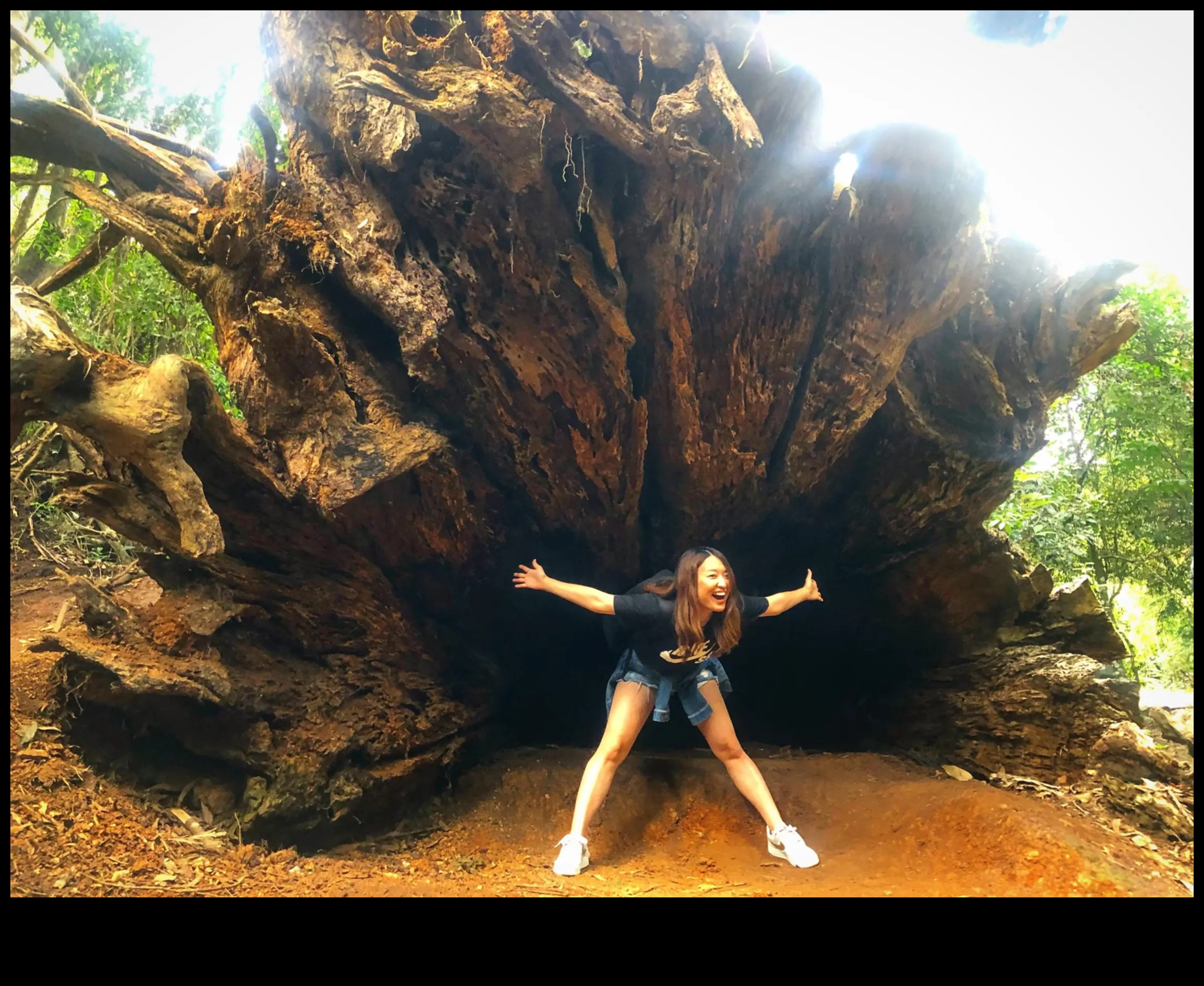 Εκπληκτική θέα: Ο θησαυρός του περιηγητή