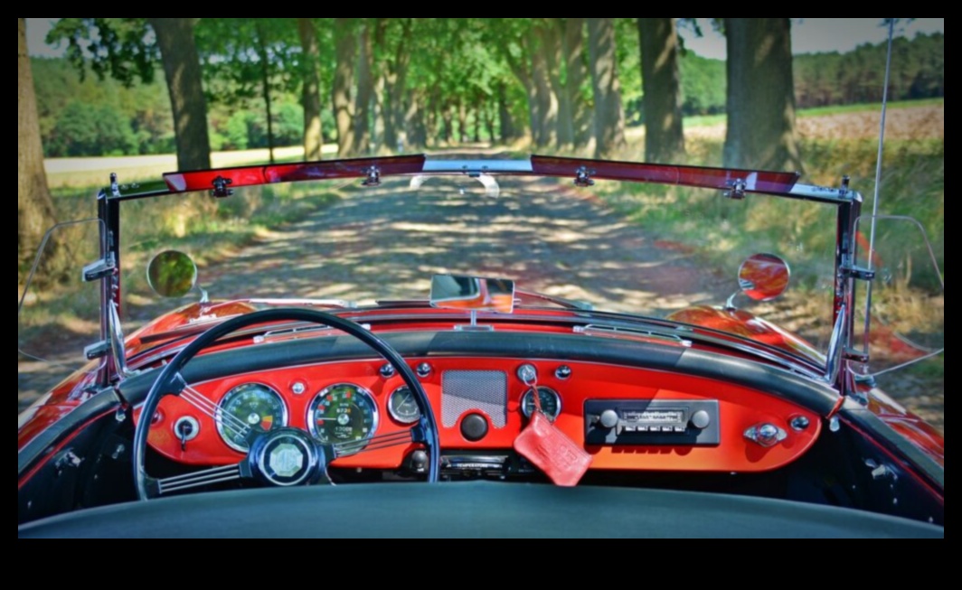 Διαχρονικές ομορφιές: Εξερευνώντας τον κόσμο των κλασικών αυτοκινήτων