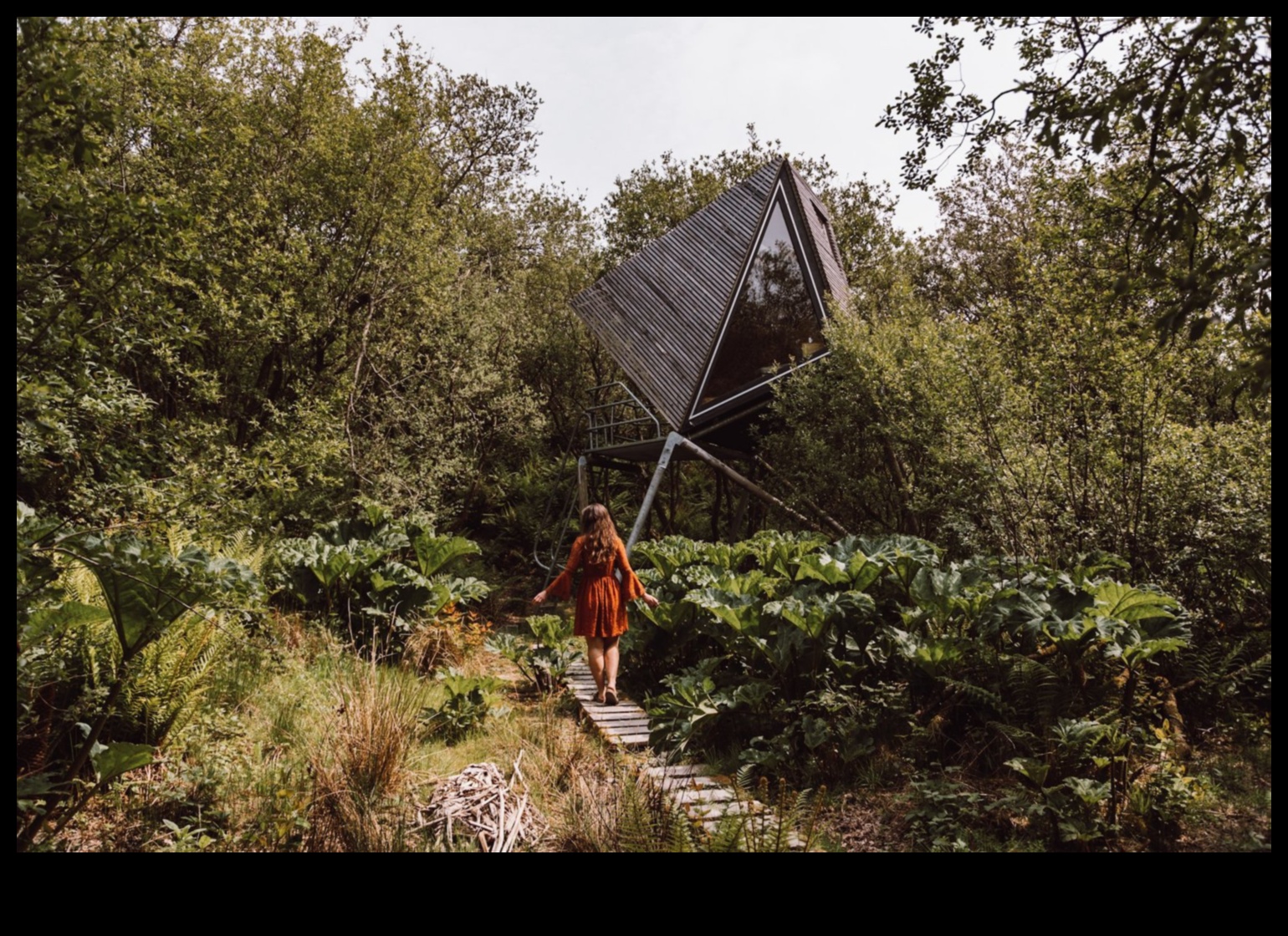 Beyond the Urban Jungle: Van Adventures in Remote Landscapes