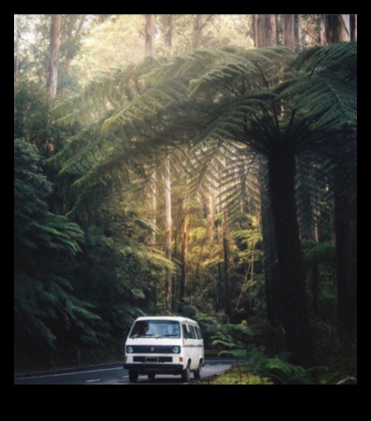 Beyond the Urban Jungle: Van Adventures in Remote Landscapes