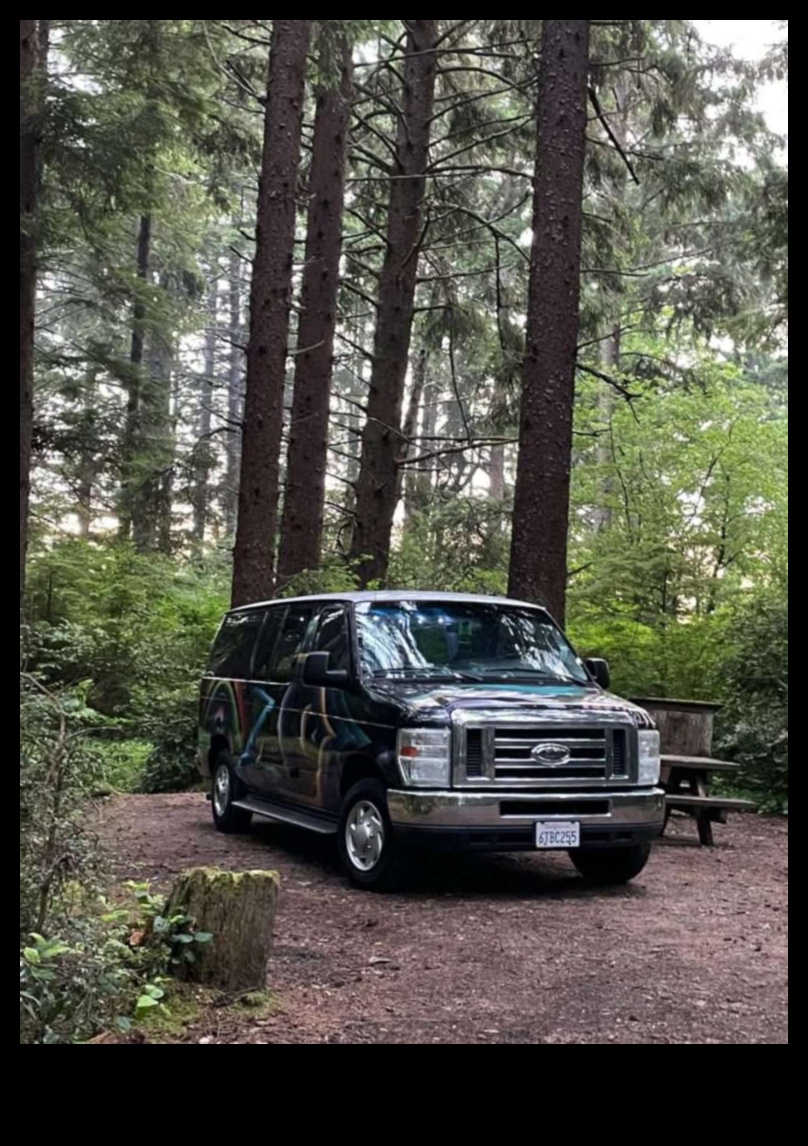 Beyond the Urban Jungle: Van Adventures in Remote Landscapes