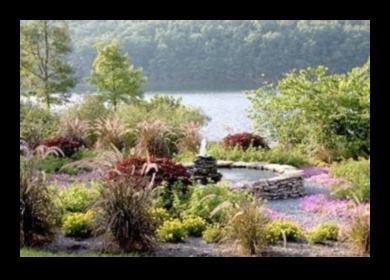 Sculpted Serenity: Garden Design Elegance Redefined