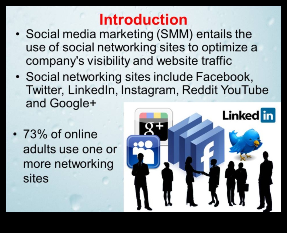 Διερεύνηση του ρόλου του μάρκετινγκ μέσων κοινωνικής δικτύωσης στην ψηφιακή διαφήμιση