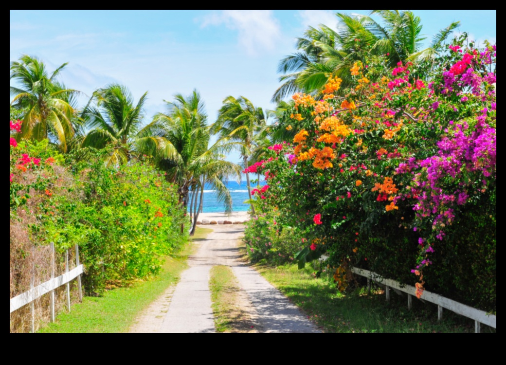 Αποκαλύφθηκε η ηρεμία: Γαλήνια θέα σε όλο τον κόσμο