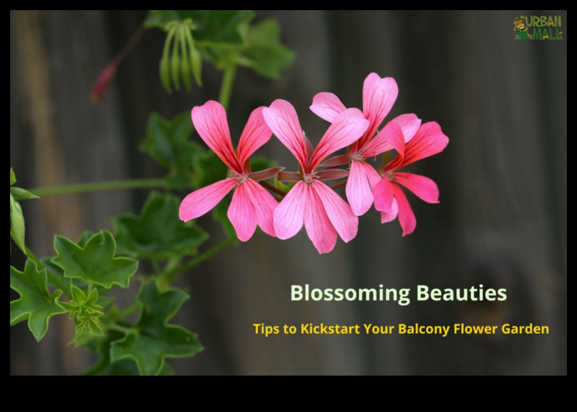 Στρατηγικές Ένα καταφύγιο χωρίς παράσιτα για έναν ανθισμένο παράδεισο 3 Καταφύγιο χωρίς παράσιτα: Στρατηγικές για έναν ανθισμένο παράδεισο