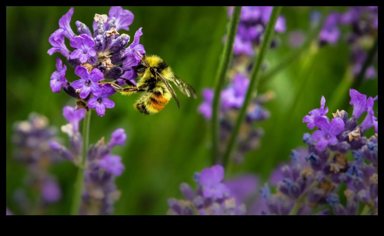 Στρατηγικές Ένα καταφύγιο χωρίς παράσιτα για έναν ανθισμένο παράδεισο 2 Καταφύγιο χωρίς παράσιτα: Στρατηγικές για έναν ανθισμένο παράδεισο
