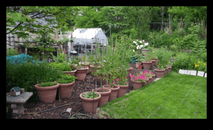 Το City Blooms καλλιεργεί το δικό σας φαγητό σε μικρούς χώρους 2 City Blooms: Urban Gardening Tips για μικρούς χώρους