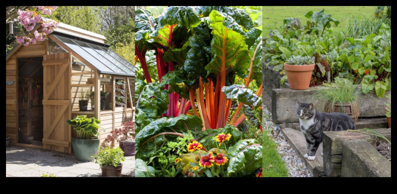 Το City Blooms καλλιεργεί το δικό σας φαγητό σε μικρούς χώρους 4 City Blooms: Urban Gardening Tips για μικρούς χώρους