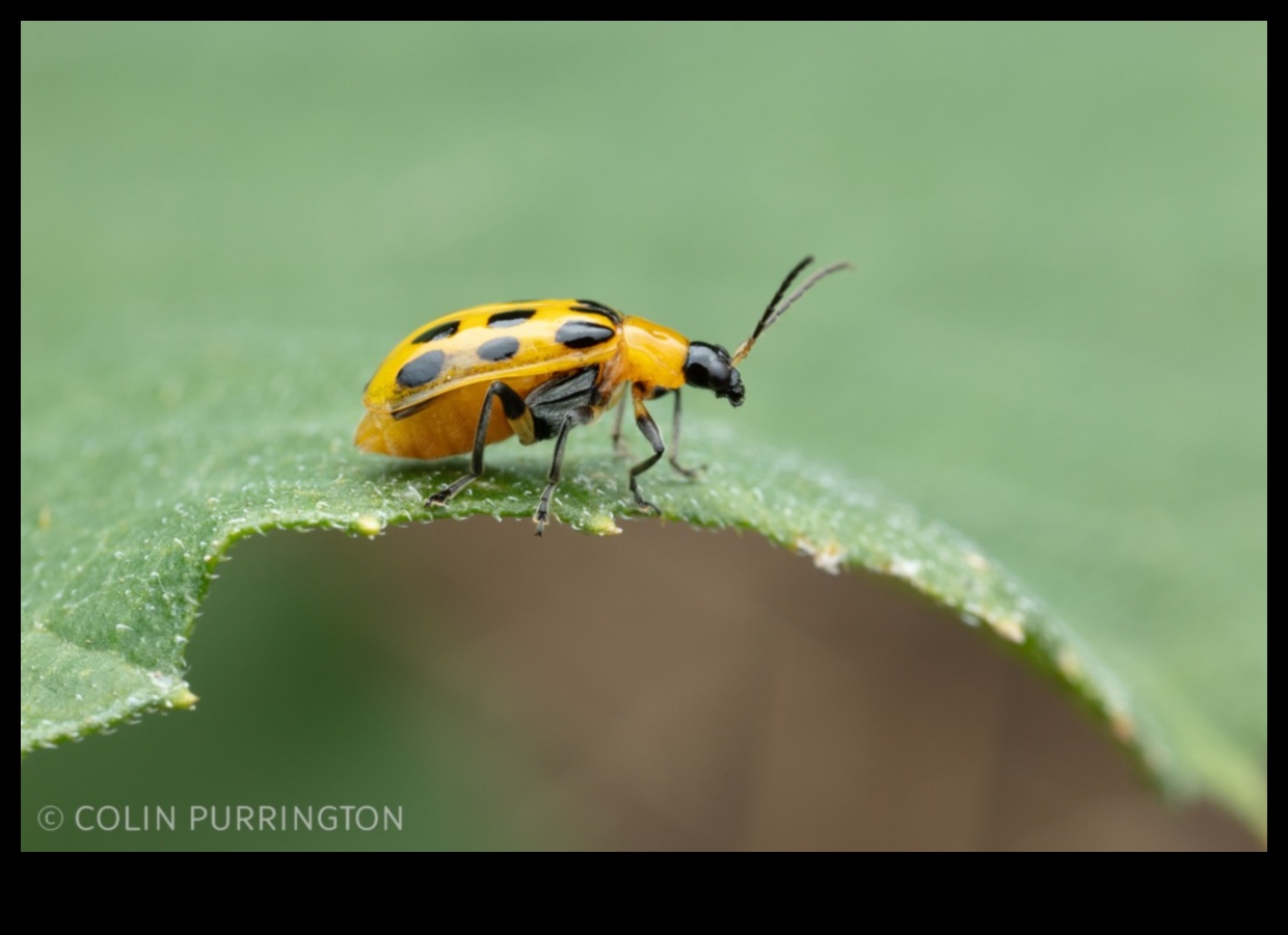 Pest-Proof Paradise: A Gardener's Guide to Flourishing Greens