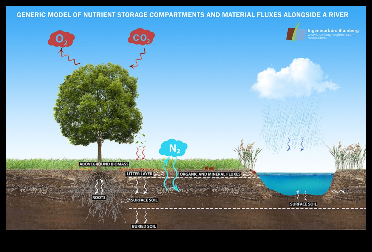 Rivers and Lakes A Visual Treat 2 Waterscapes: A Journey Through River and Lake Views
