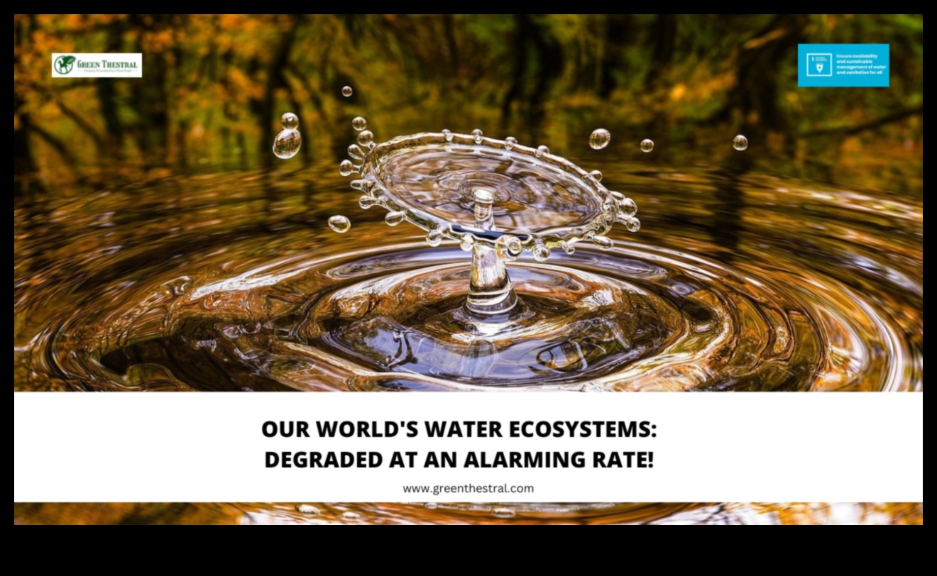 Γιατί ορισμένα τοπία είναι πιο ευάλωτα στην καταστροφή οικοτόπων;