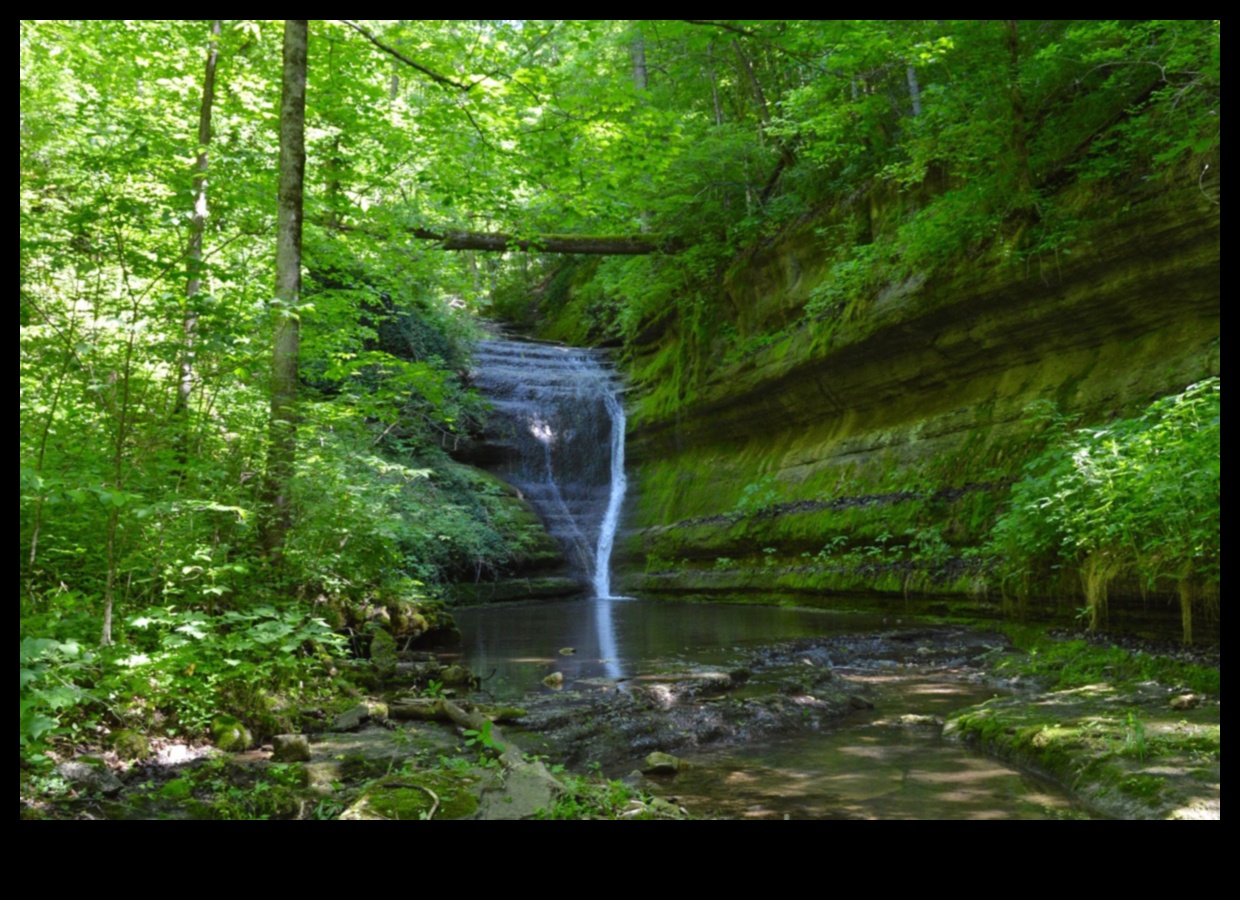 Sanctuary in Nature: Ecological Reserves Explored