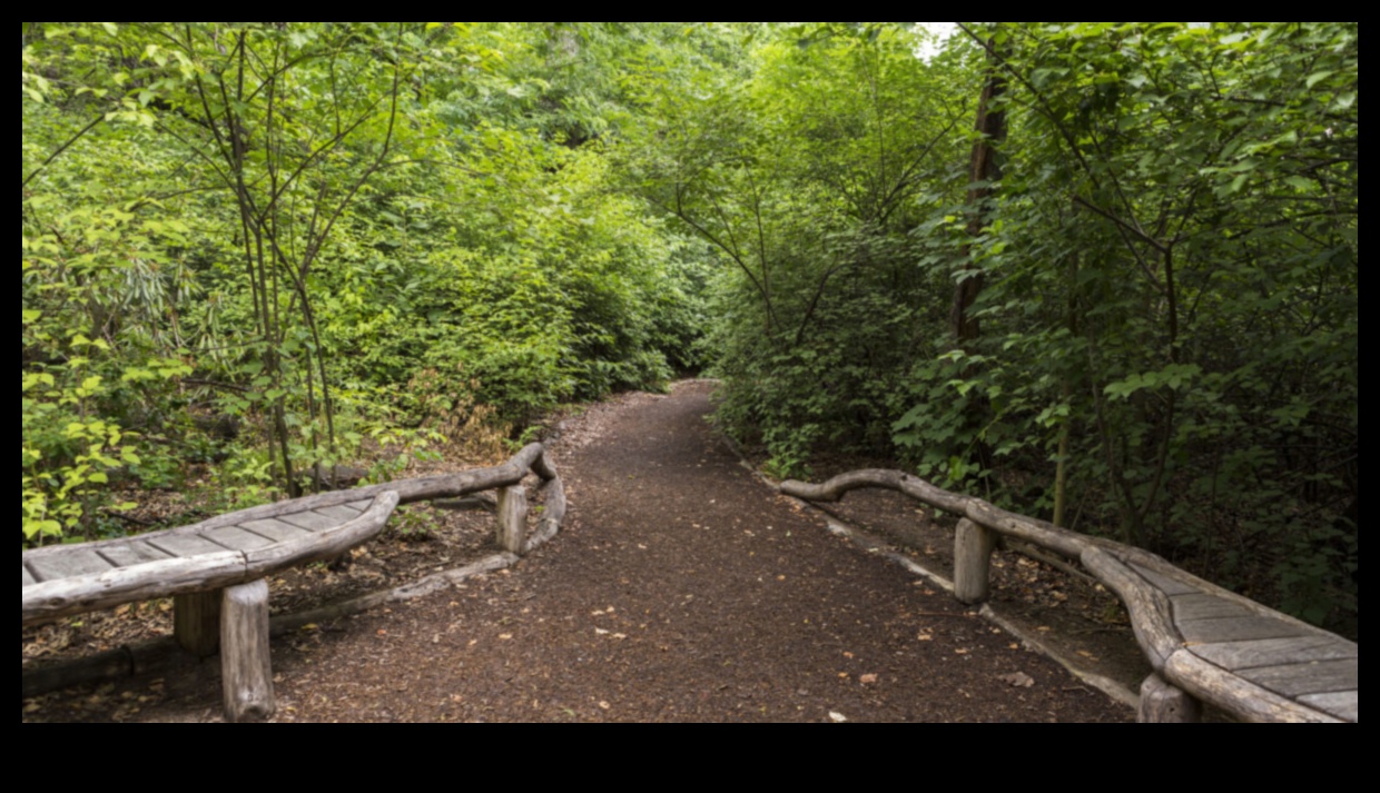 Sanctuary in Nature: Ecological Reserves Explored