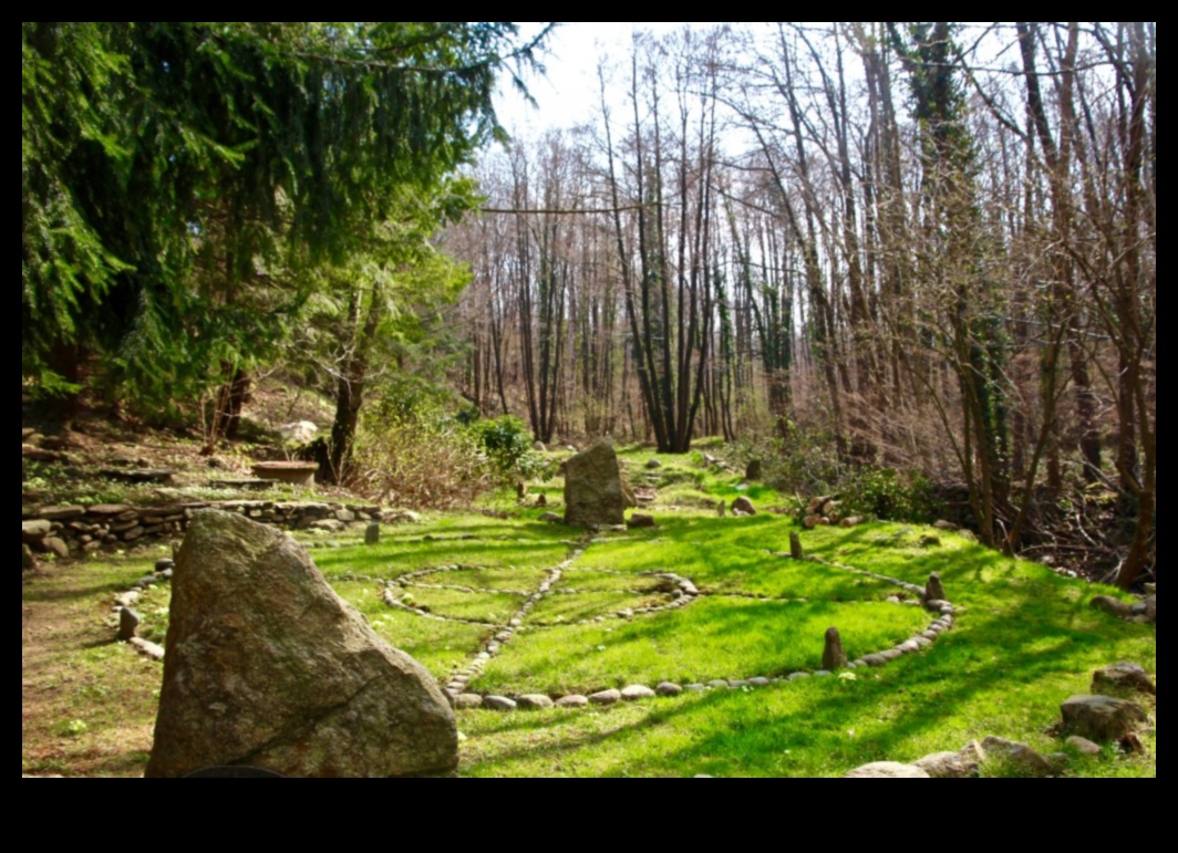 Sanctuary in Nature: Ecological Reserves Explored