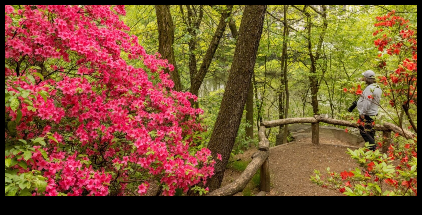 Sanctuary in Nature: Ecological Reserves Explored