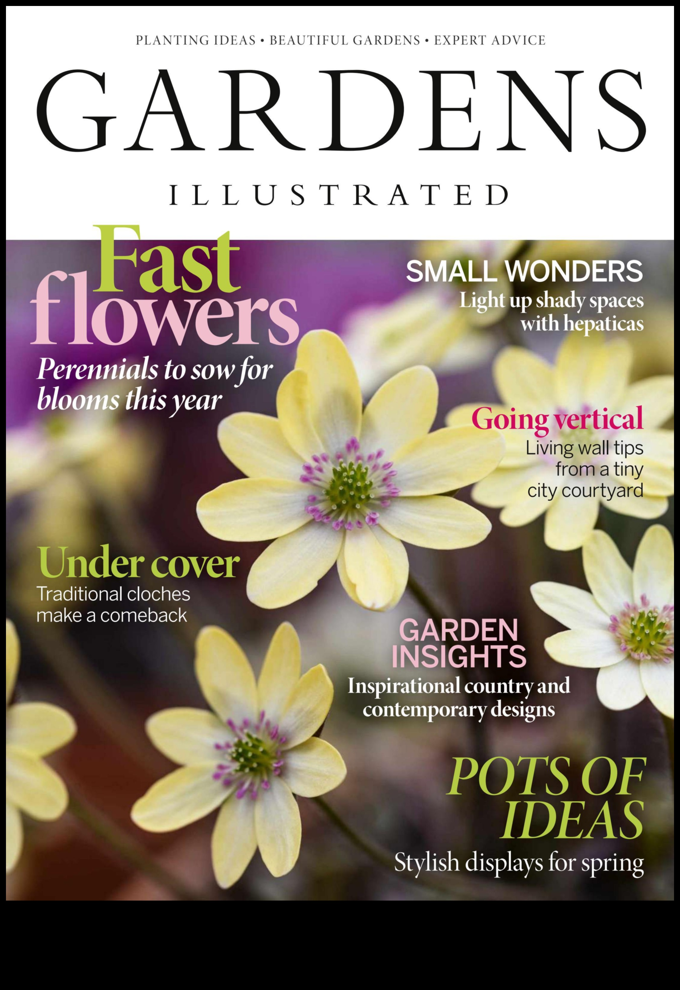 Πέταλα και πρόοδος: Ένα ταξίδι στη στοχαστική φροντίδα του κήπου