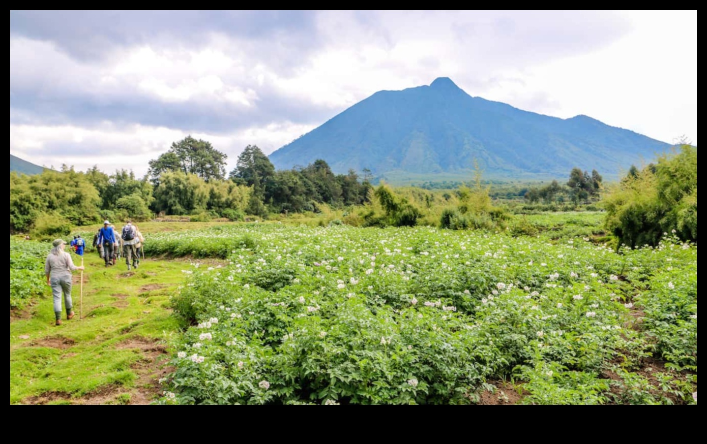 Πλοηγηθείτε στη φύση: Αγκαλιάστε την ύπαιθρο με φιλικές προς το περιβάλλον ταξιδιωτικές συμβουλές