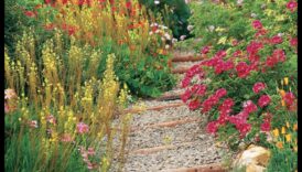 Bloom in Style: Elevate Your Garden with Art Essentials