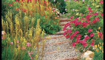 Bloom in Style: Elevate Your Garden with Art Essentials