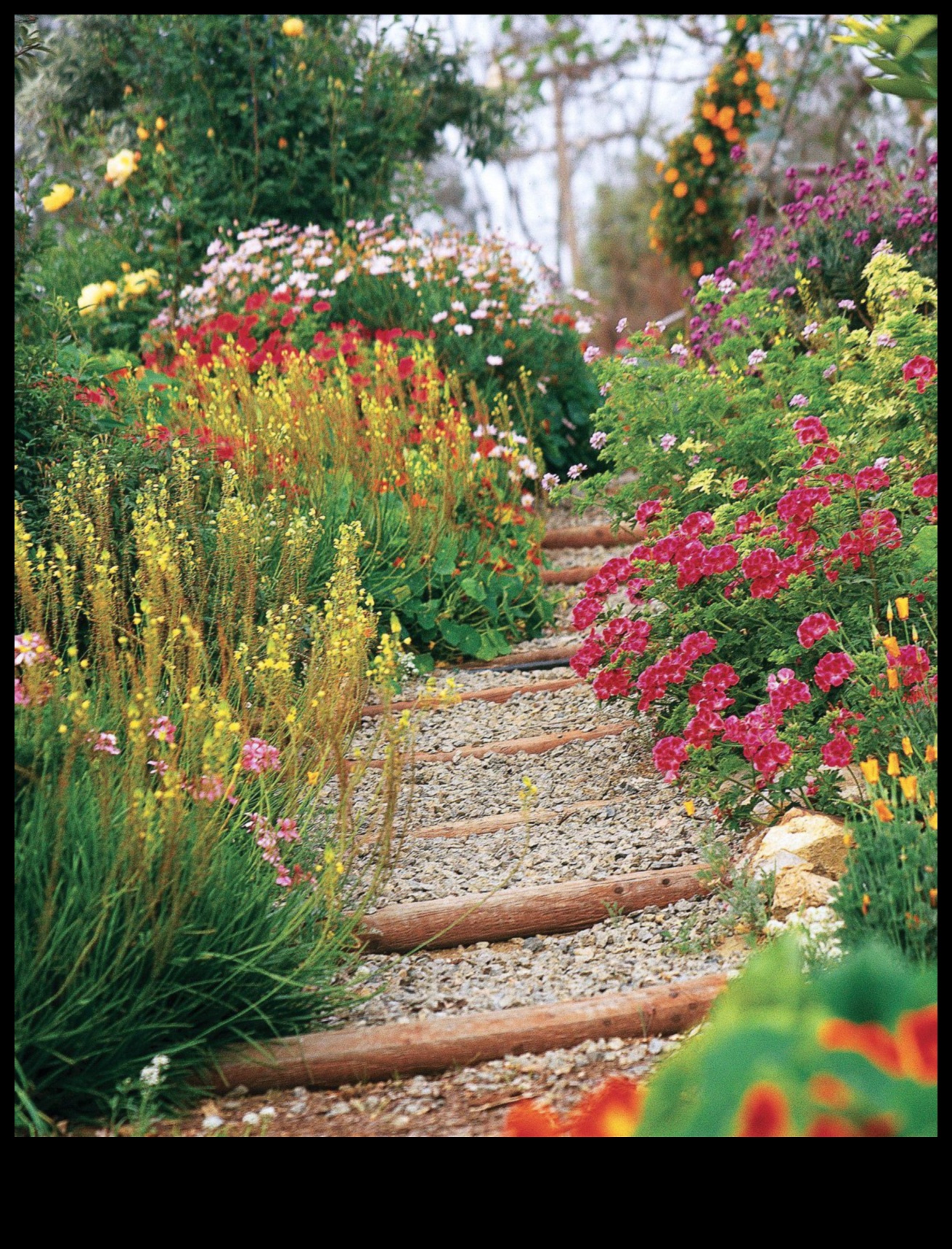 Bloom in Style: Elevate Your Garden with Art Essentials