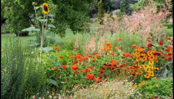 Blossom Palette: Δημιουργήστε το υπαίθριο καταφύγιό σας με έντεχνες πινελιές