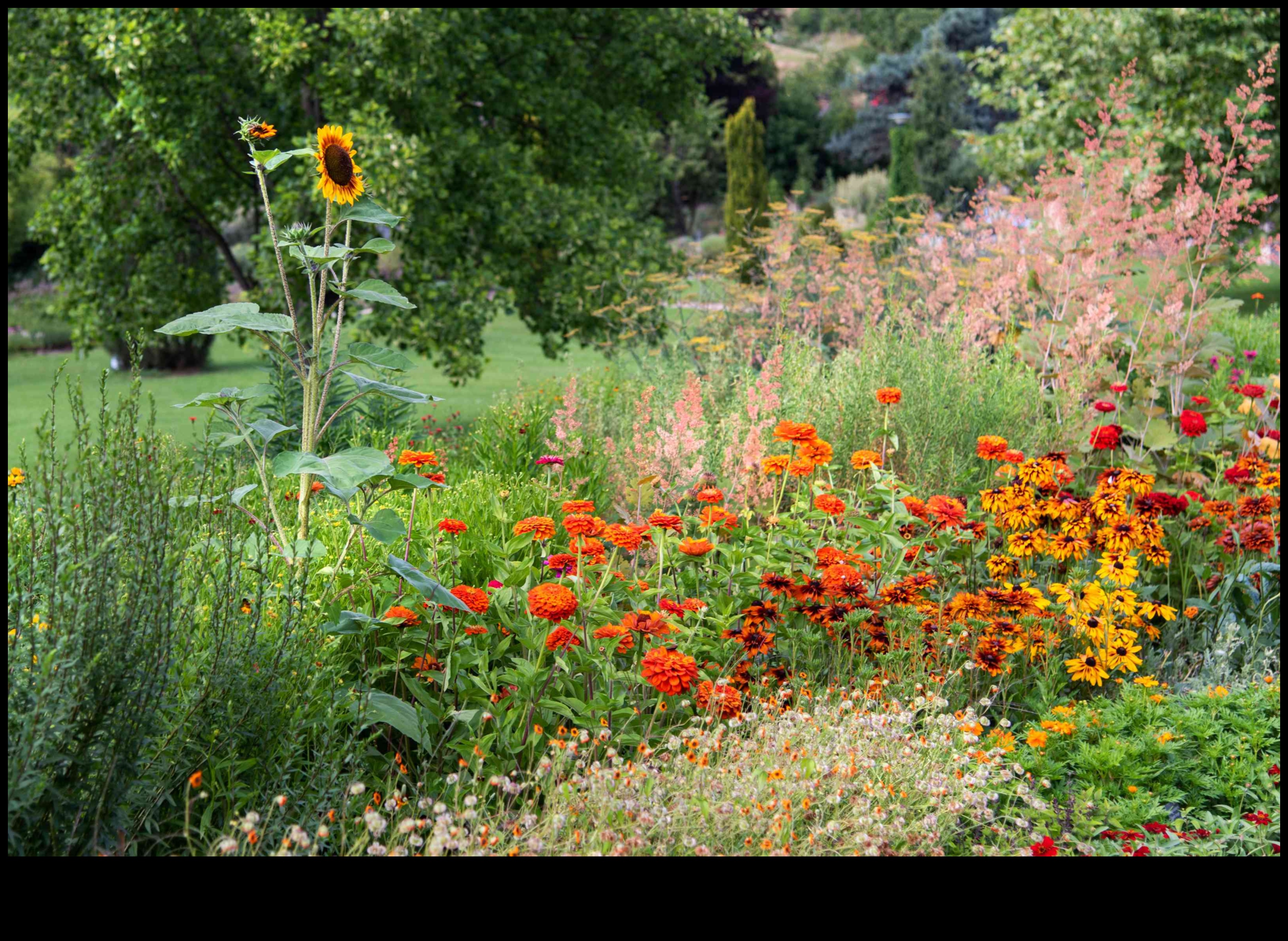 Blossom Palette: Δημιουργήστε το υπαίθριο καταφύγιό σας με έντεχνες πινελιές