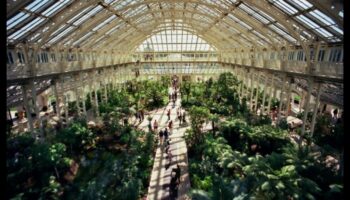 Botanical Bliss: Εξερευνήστε τα θαύματα του θερμοκηπίου μας