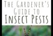 Defend Your Domain: A Gardener's Guide to Pests