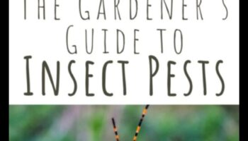 Defend Your Domain: A Gardener's Guide to Pests