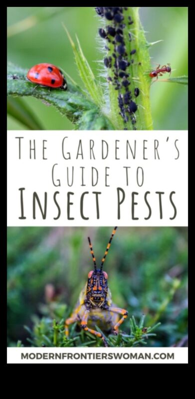 Defend Your Domain: A Gardener's Guide to Pests