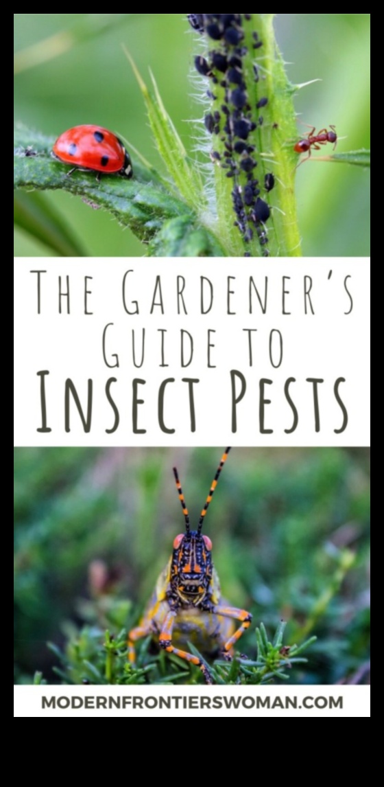 Defend Your Domain A Gardener's Guide to Keeping Pests at Bay 1 Defend Your Domain: A Gardener's Guide to Pests