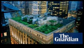 Πώς συμβάλλουν τα τοπία στην οπτική ελκυστικότητα των αστικών κήπων στις ταράτσες;