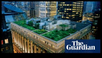 Πώς συμβάλλουν τα τοπία στην οπτική ελκυστικότητα των αστικών κήπων στις ταράτσες;