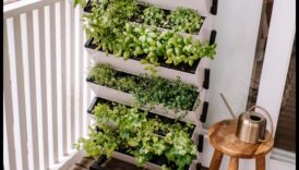 Rising Eden Vertical Gardening Perfection για συμπαγείς χώρους 4 Rising Eden: Vertical Gardening Perfection