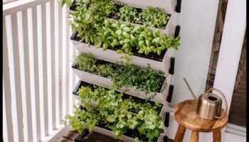 Rising Eden: Vertical Gardening Perfection
