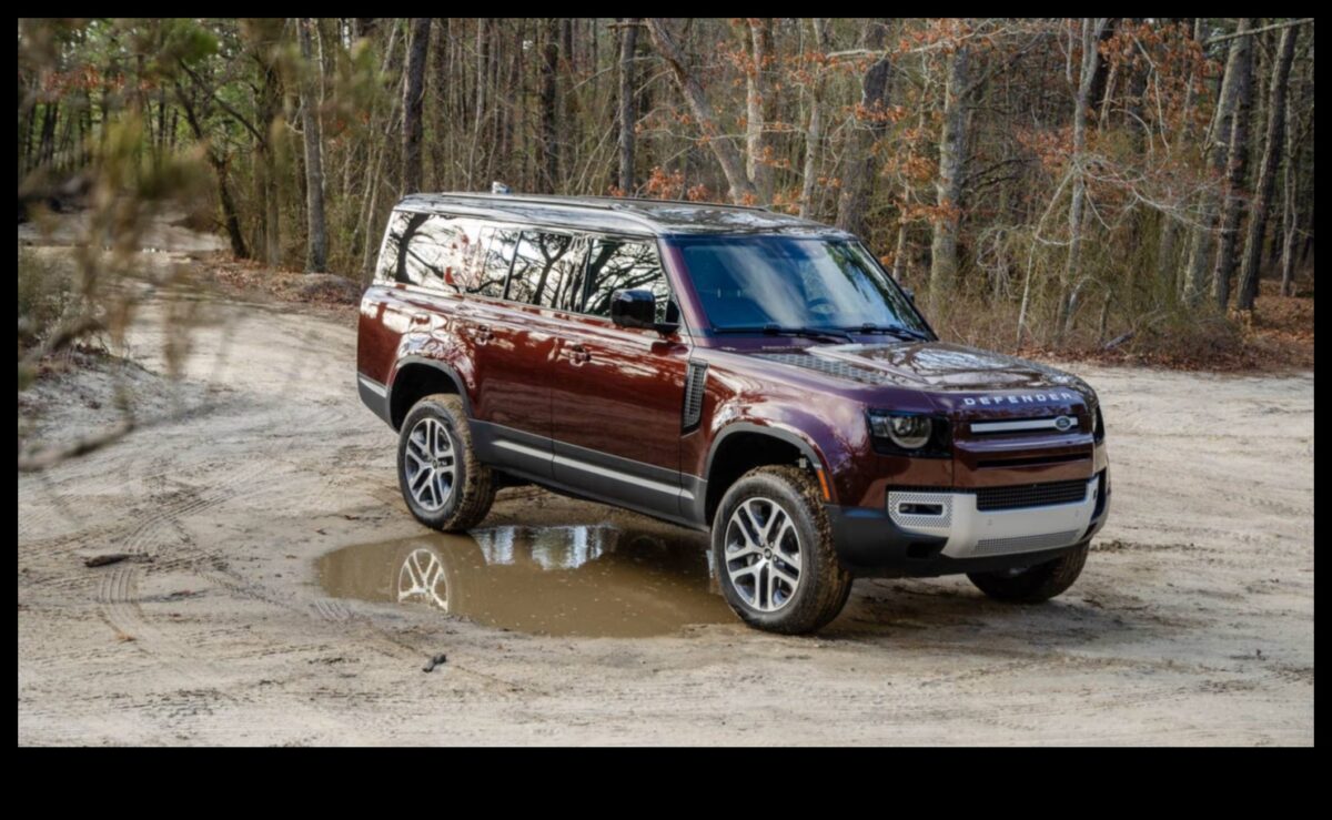 SUV Chronicles: Stories from the Roads Less Traveled