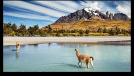 Sightseer's Sanctuary Εντοπίστε την ευδαιμονία προκάλεσε γραφική θέα 4 Sightseer's Sanctuary: Finding Bliss in γραφική θέα