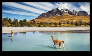 Sightseer's Sanctuary: Finding Bliss in γραφική θέα