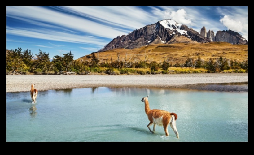 Sightseer's Sanctuary: Finding Bliss in γραφική θέα