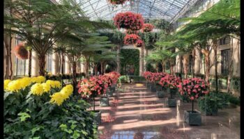 Indoor Wonderland: Greenhouse Delights που αποκαλύφθηκαν