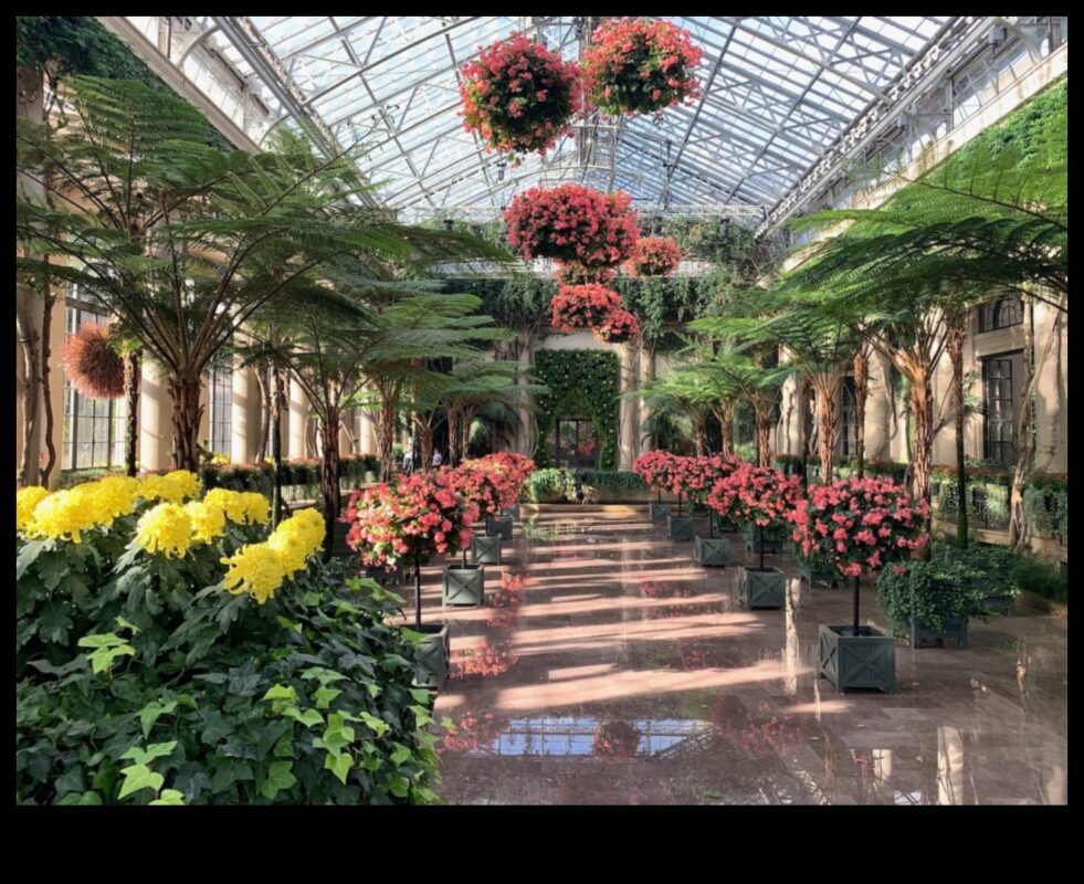 Indoor Wonderland: Greenhouse Delights που αποκαλύφθηκαν