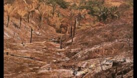 Γιατί ορισμένα τοπία είναι πιο ευάλωτα στην καταστροφή οικοτόπων;