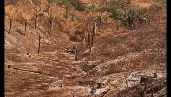 Γιατί ορισμένα τοπία είναι πιο ευάλωτα στην καταστροφή οικοτόπων;