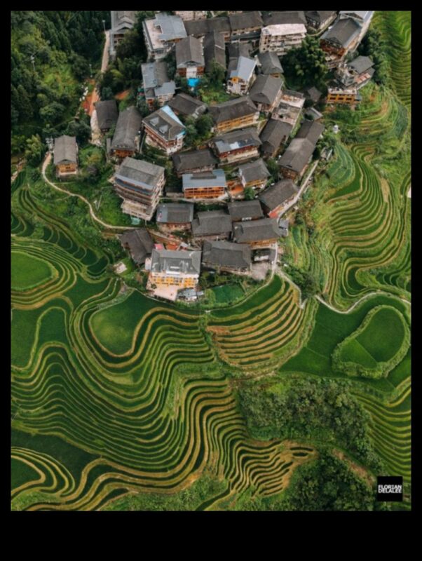 Epic Elevation: Exploring High and Low in Beautiful Landscapes