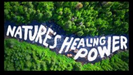 Epic Earthscapes: A Showcase of Nature's Grandeur